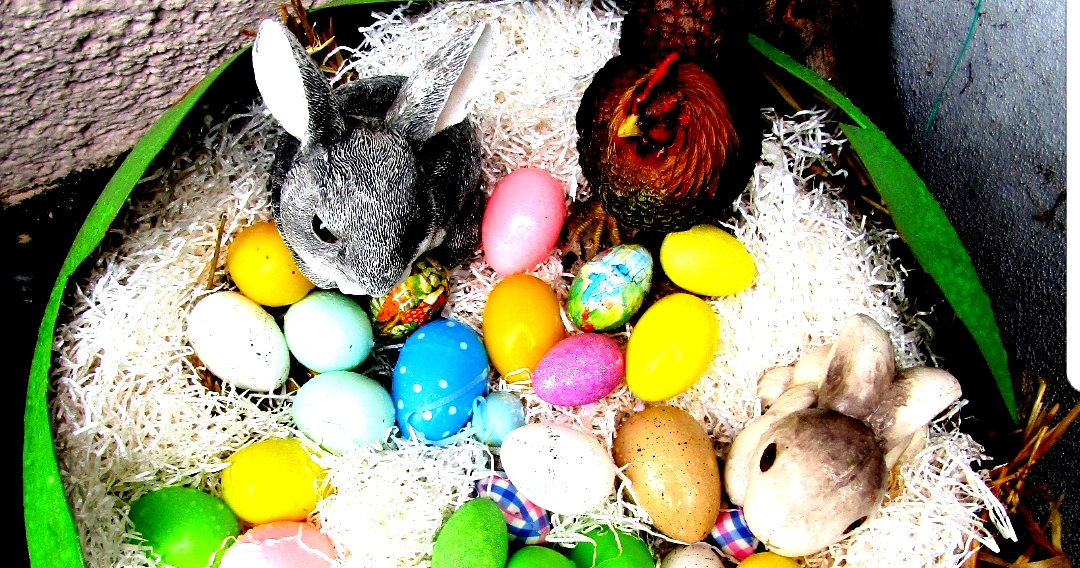 WhatsApp Image 2018-03-24 at 09.38.30.jpeg